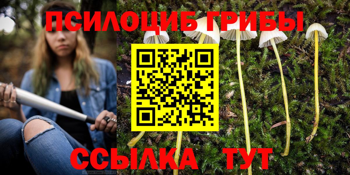 Псилоцибиновые грибы прущие грибы Азнакаево