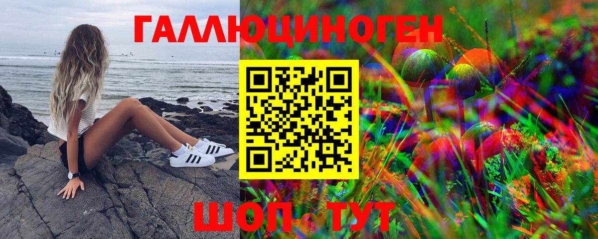 Псилоцибиновые грибы мухоморы Азнакаево