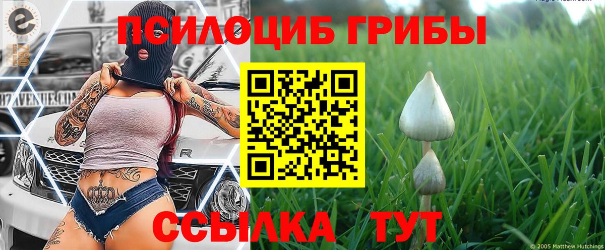 Галлюциногенные грибы GOLDEN TEACHER  Вход с VPN  Азнакаево 