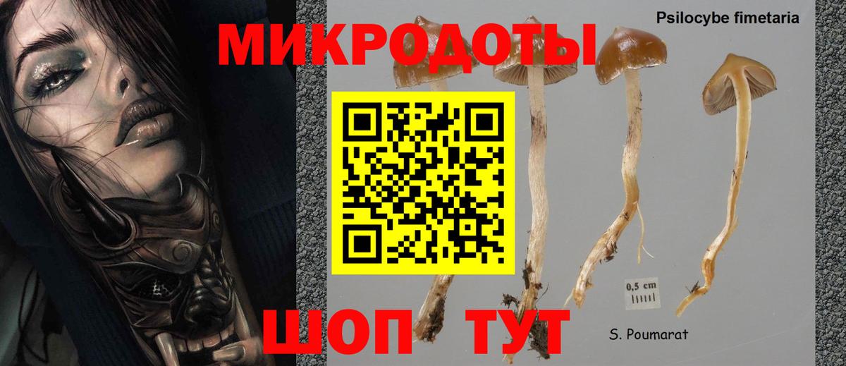 Галлюциногенные грибы MAGIC MUSHROOMS  купить  цена  Азнакаево  Галлюциногенные грибы мухоморы 